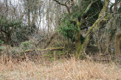 
Lasgarn Railroad Incline Top, March 2009